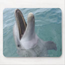 Buscar partes comunes Naturaleza