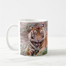 Buscar tigre blanco tazas Fotografía