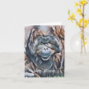Buscar orangutanes tarjetas Para todos