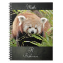 Buscar kawaii panda libretas Lindo