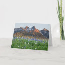 Buscar judy tarjetas Montaña