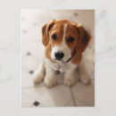 Buscar enchufe postales Perrito
