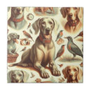 Buscar weimaraner azulejos Cachorro