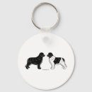 Buscar newfie accesorios Perros