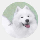 Buscar samoyed pegatinas Blanco