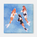 Buscar koi imanes Pescado