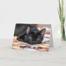 Buscar muerte del mascota tarjetas General y unisex