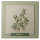 Buscar hierba azulejos Hierbas verdes