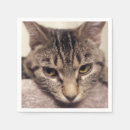 Buscar instagram servilletas Gris