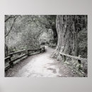 Buscar paisajes rurales posters Senderos