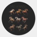Buscar caballo de salto postales Vida silvestre