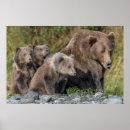 Buscar kodiak posters Moreno