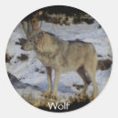 Buscar animal lover pegatinas Naturaleza