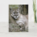Buscar pantera tarjetas Puma
