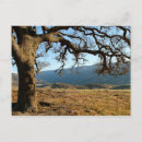 Buscar regional postales California