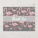 Buscar pink flamingo postales Pájaros