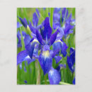 Buscar flores azules brillantes postales Jardín