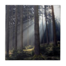 Buscar baviera azulejos Bosque