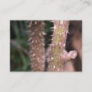 Buscar planta tarjetas de visita Naturaleza