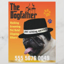 Buscar mascota flyers Para mascotas