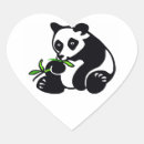 Buscar osos de panda Naturaleza