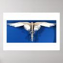Buscar caduceo posters Medicina
