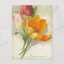 Buscar catherine klein postales Vintage