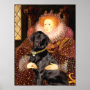 Buscar labrador retriever negro posters Recuperador de labrador