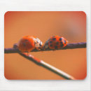 Buscar ladybug alfombrillas de raton Naturaleza