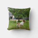 Buscar fox terrier cojines Perro