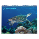 Buscar animales marinos calendarios Océano