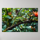 Buscar lagarto arte Flores
