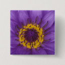 Buscar bangkok tailandia chapas Flor