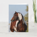 Buscar tobiano tarjetas Animal