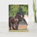 Buscar vanguardista tarjetas Bob langrish