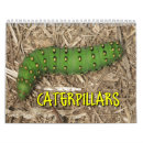 Buscar oruga calendarios Insecto