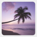 Buscar nadia pegatinas Océano