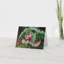 Buscar alas del ángel tarjetas Para ella