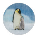 Buscar pingüinos tablas cortar Pingüino emperador