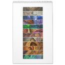 Buscar espirales calendarios Apophysis