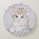 Buscar gatito adorable cojines Naranja