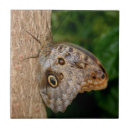 Buscar cucharas azulejos Animal