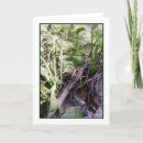 Buscar snake tarjetas Pantano