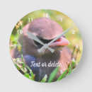 Buscar waxwing Animal