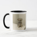 Buscar protectores tazas Animales