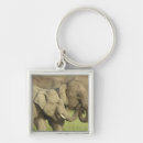 Buscar elefante indio llaveros Asia
