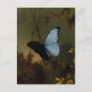 Buscar pinturas azules de la mariposa postales Mariposas