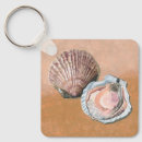 Buscar vieira llaveros 7 º concha