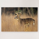 Buscar venado de cola blanca puzzles Fauna