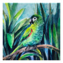Buscar loros verdes posters Macaws